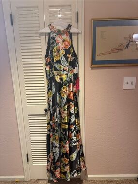 Gorgeous BNWT Nicole Miller high neck evening dress